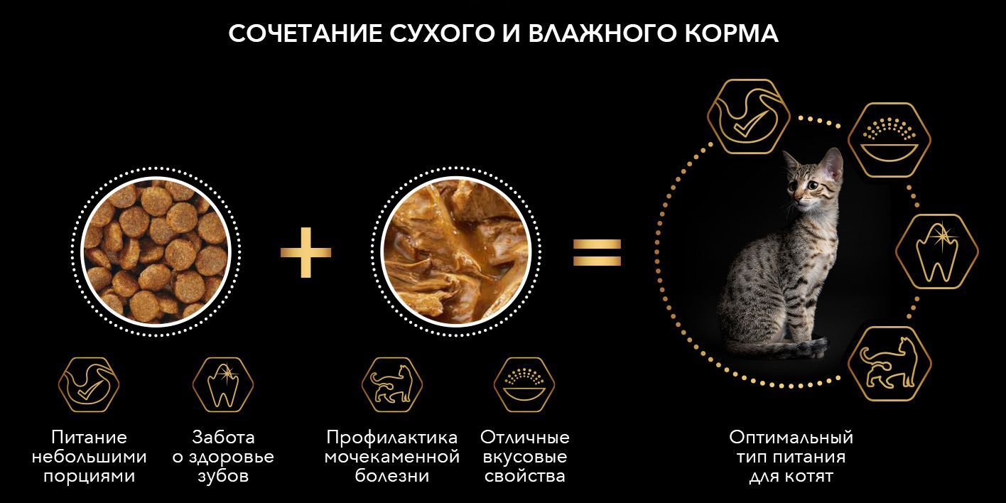 Про План для котят купить в Краснодаре