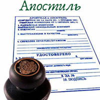 https://st29.stblizko.ru/images/product/555/185/862_medium.jpeg