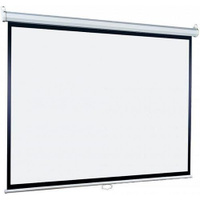Экран Lumien Eco Picture LEP-100112, 171х128 см, 4:3, настенно-потолочный