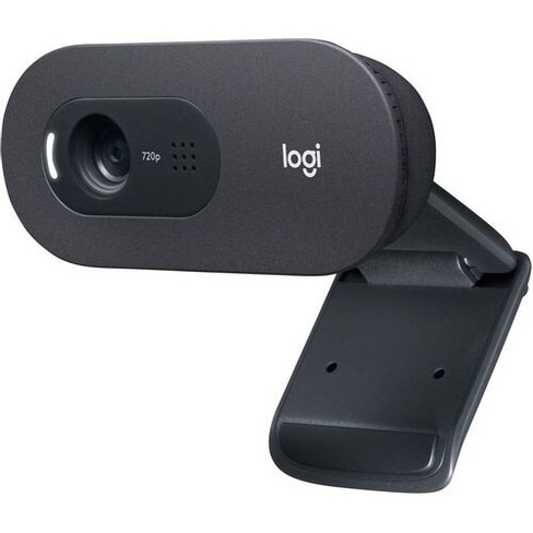 Web-камера Logitech C505e, черный [960-001372]