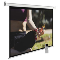 Экран Cactus MotoExpert CS-PSME-200x200-WT, 200х200 см, 1:1, настенно-потолочный белый