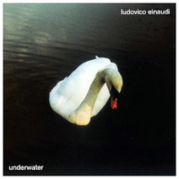 Винил 12" (LP) Ludovico Einaudi Underwater
