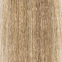 INSIGHT 10.11 краска для волос, интенсивно-пепельный супер светлый блондин / INCOLOR 100 мл