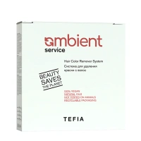 TEFIA Система для удаления краски с волос (лосьон 120 мл + лосьон 120 мл + паста 60 гр + окислитель 9% 120 мл) AMBIENT S