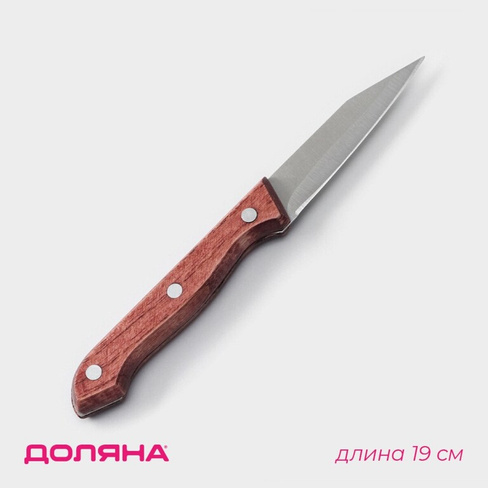 Нож для овощей кухонный доляна ecology, лезвие 8,5 см, цвет коричневый Доляна