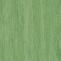 Линолеум коммерческий гомогенный Tarkett Standart Plus Standart Dark Green 0921