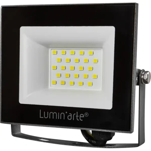 Прожектор светодиодный уличный Lumin Arte 30 Вт 5700К IP65 нейтральный белый свет LUMIN ARTE None