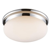 Потолочный светильник Arte Lamp Aqua A2916PL-2CC